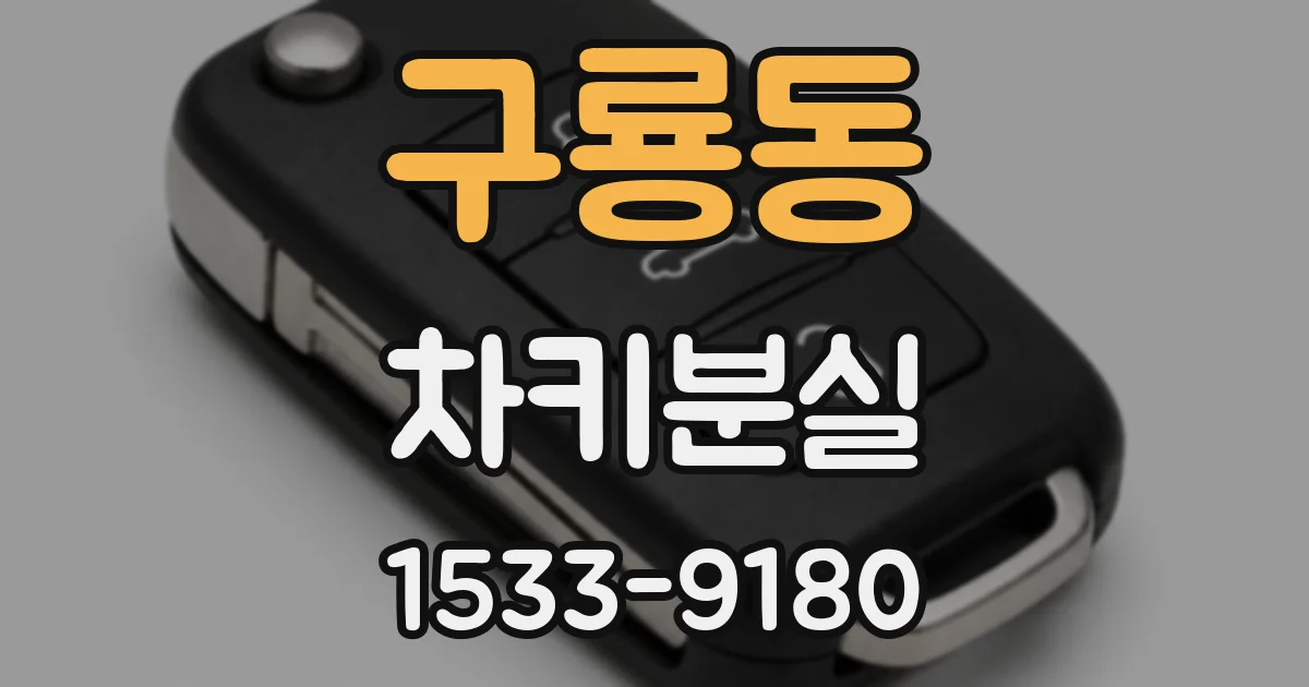 구룡동 차키분실