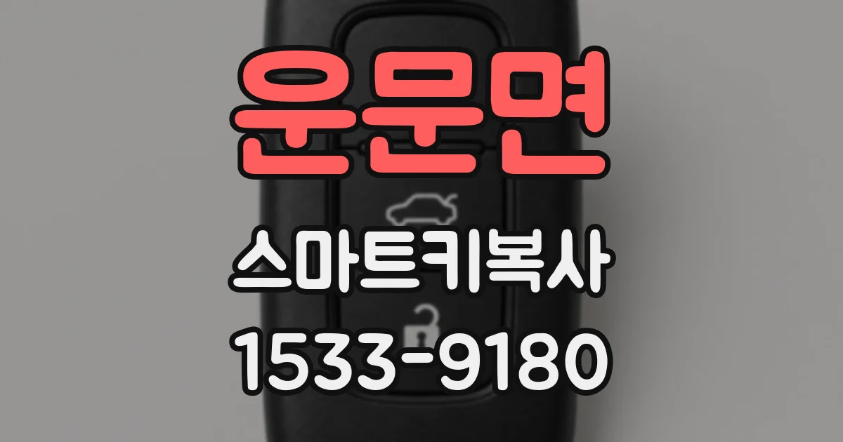 운문면 스마트키복사