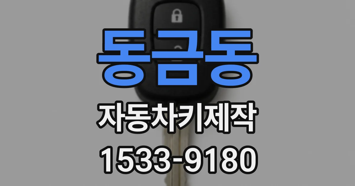 동금동 자동차키제작