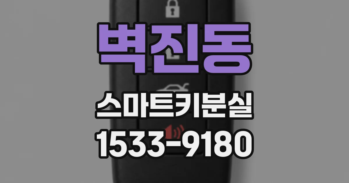 벽진동 스마트키분실