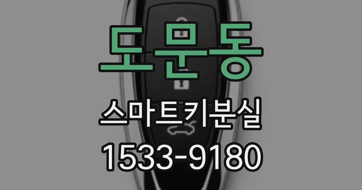 도문동 스마트키분실