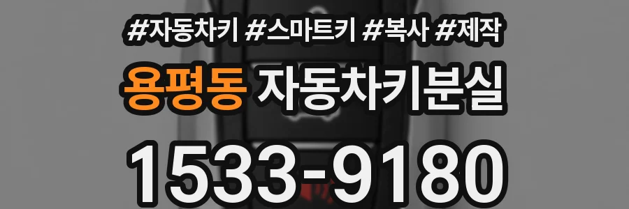 용평동 자동차키분실