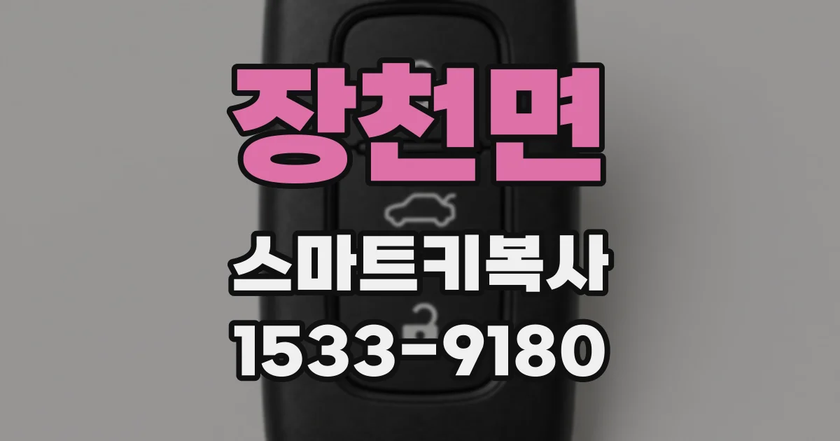 장천면 스마트키복사
