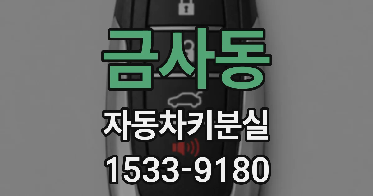 금사동 자동차키분실