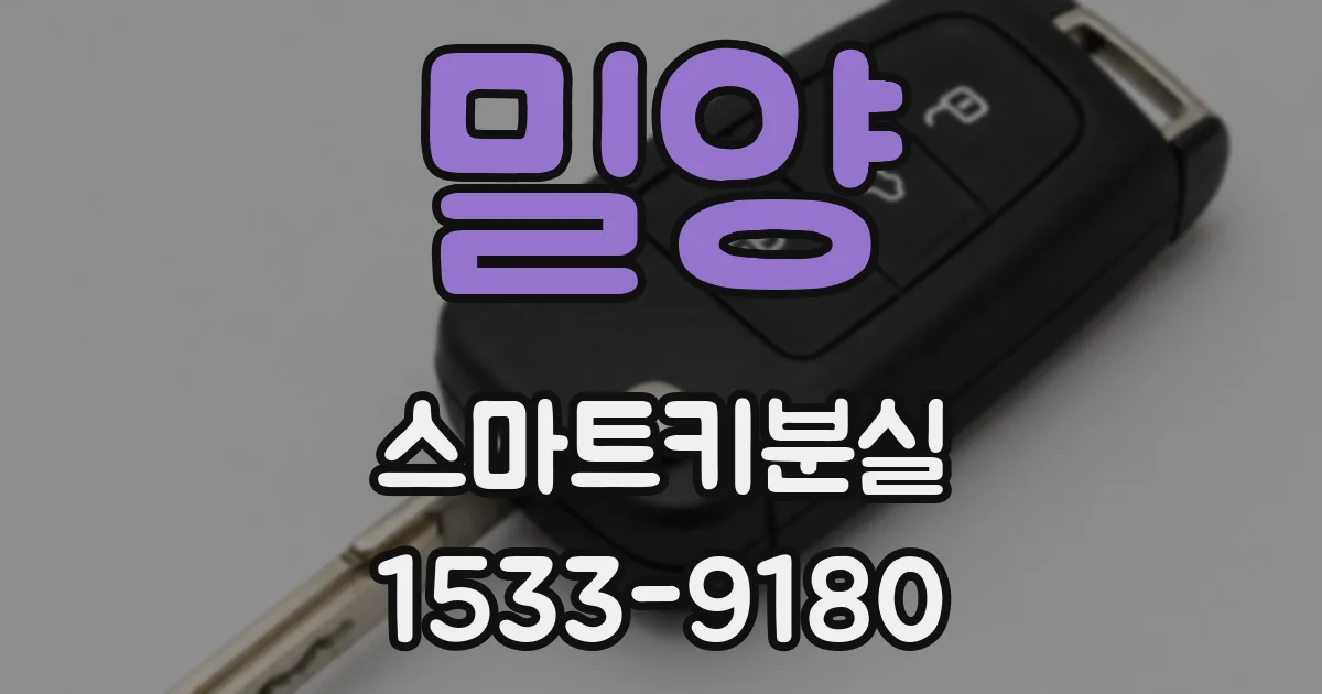 밀양 스마트키분실