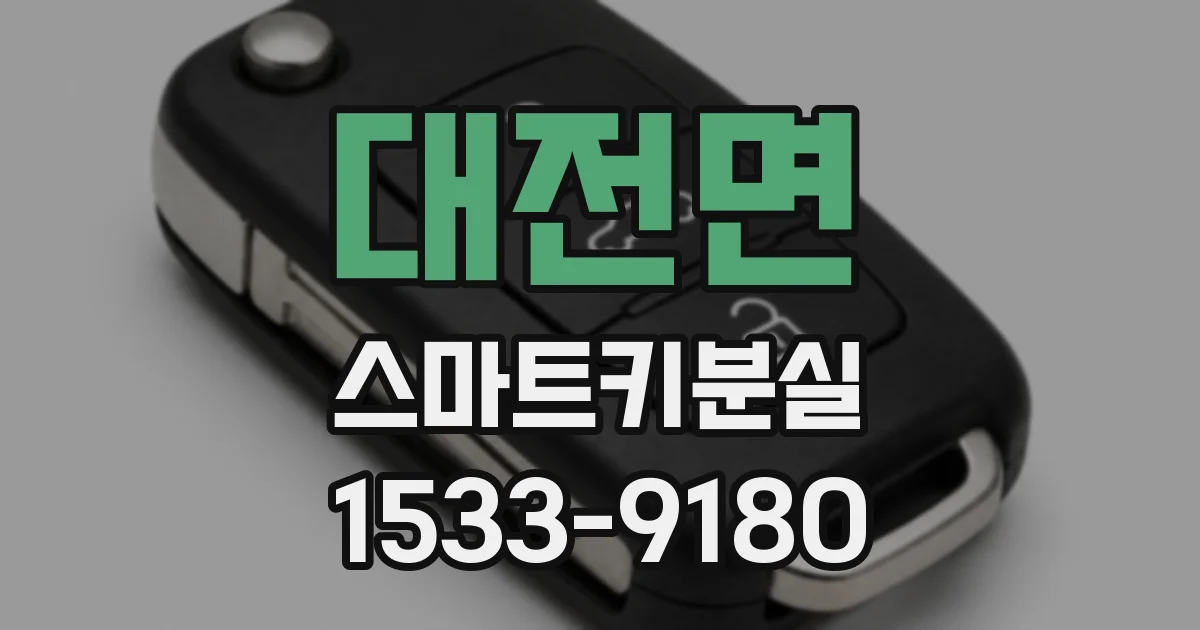 대전면 스마트키분실