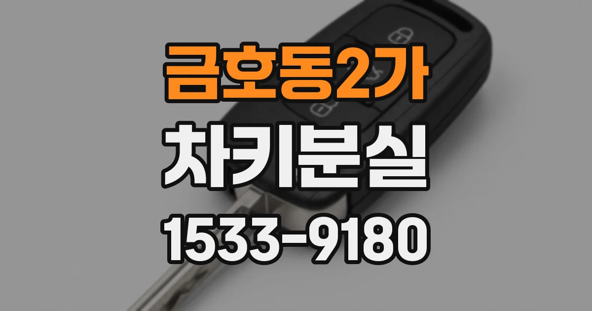 금호동2가 차키분실