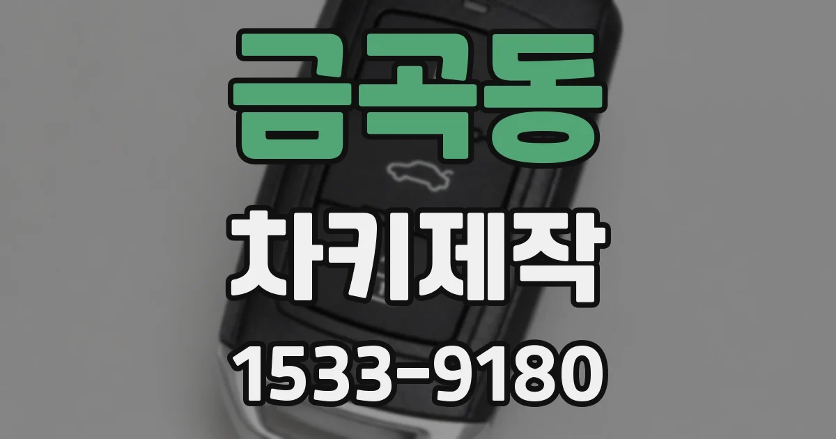 금곡동 차키제작