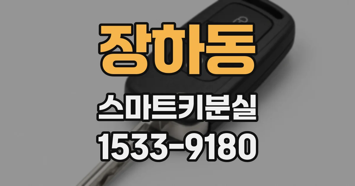 장하동 스마트키분실