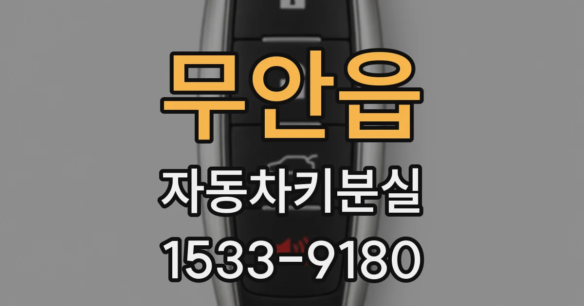 무안읍 자동차키분실