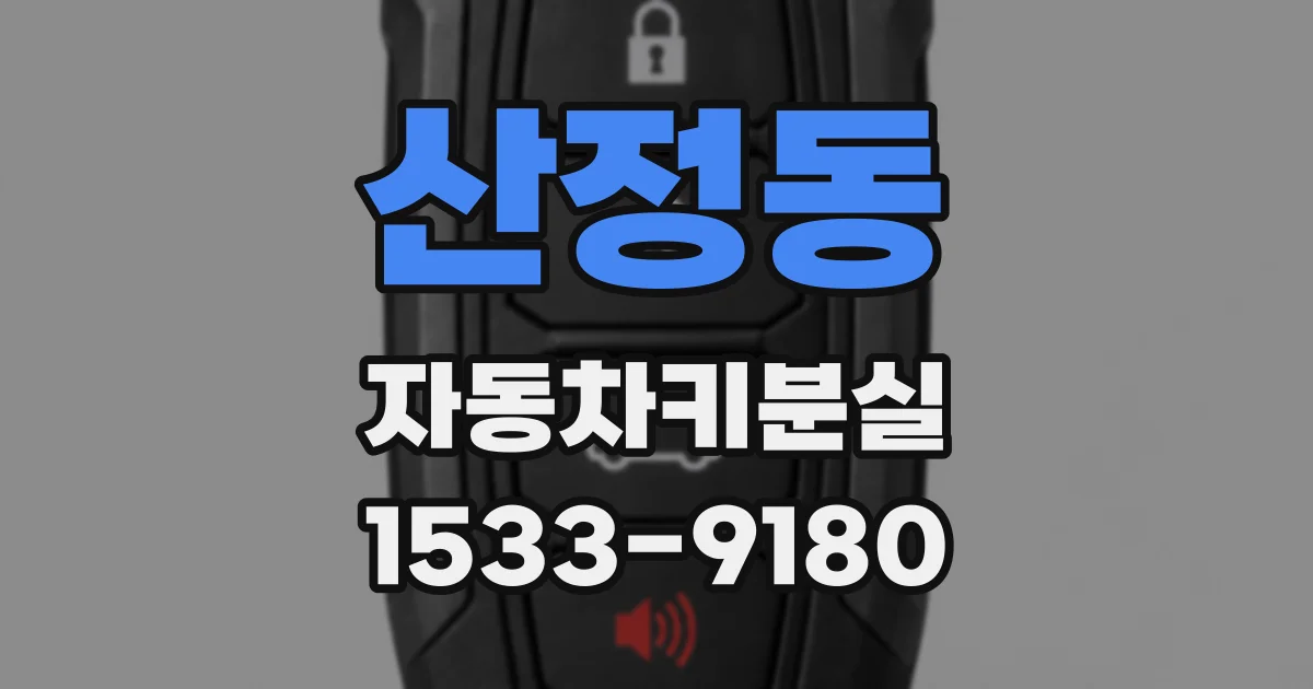 산정동 자동차키분실