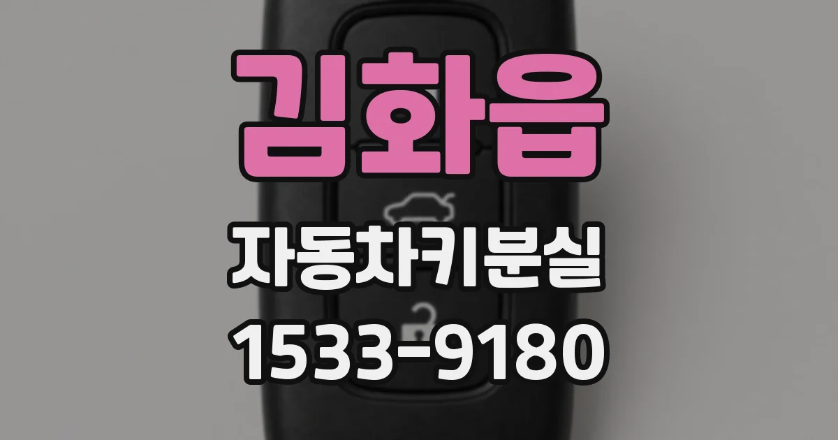 김화읍 자동차키분실