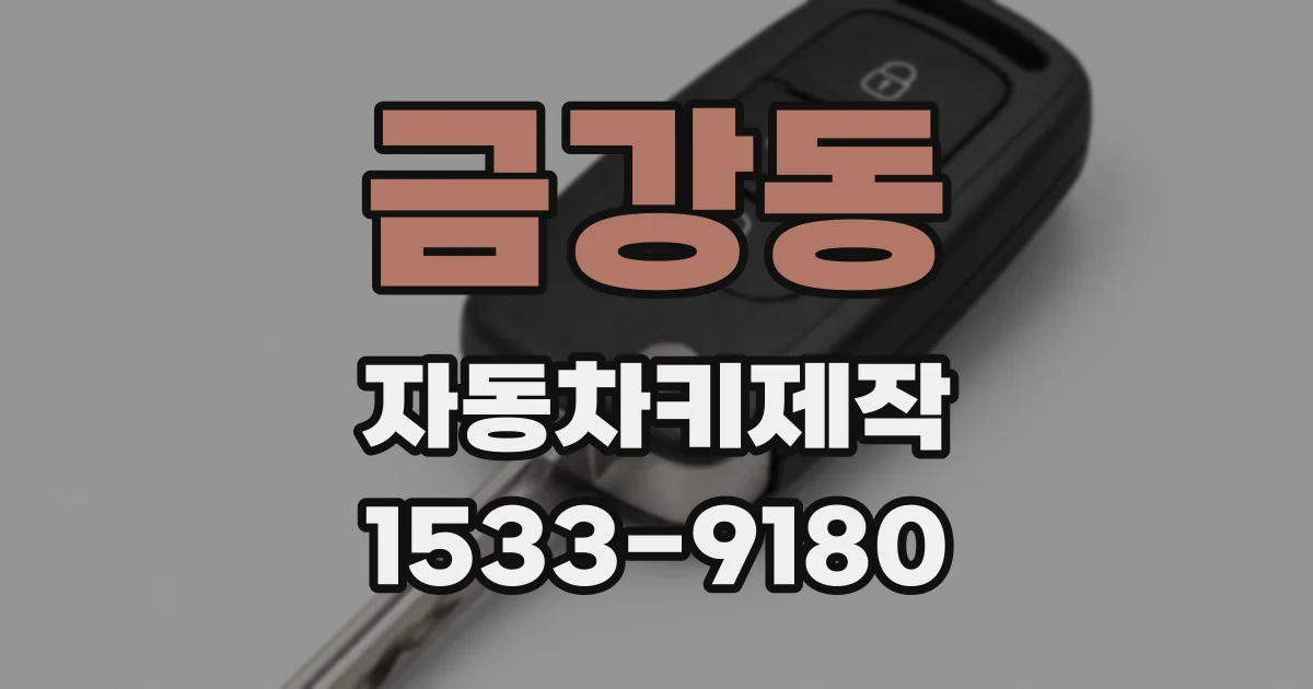 금강동 자동차키제작