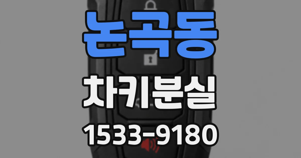 논곡동 차키분실