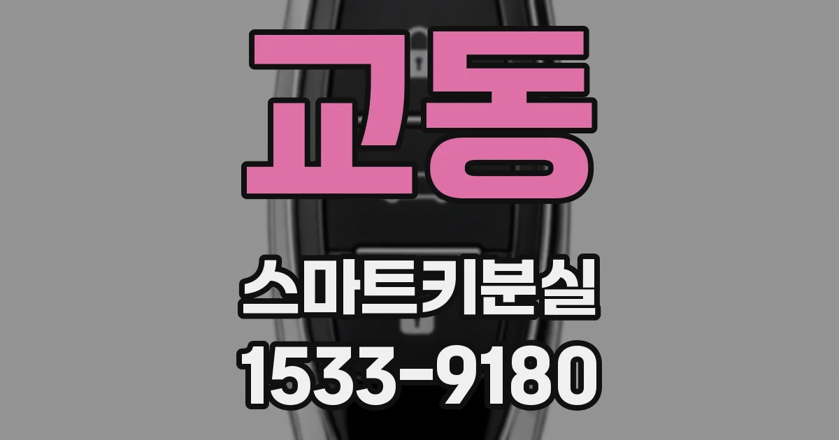 교동 스마트키분실