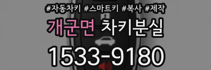 개군면 차키분실