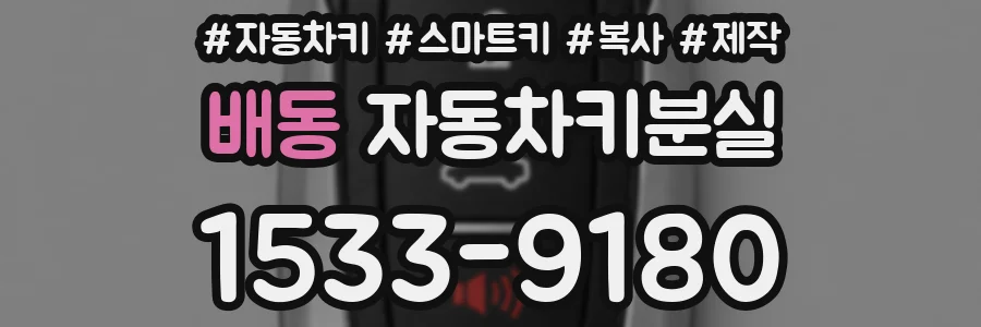 배동 자동차키분실