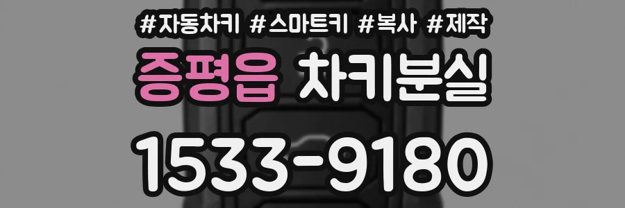 증평읍 차키분실