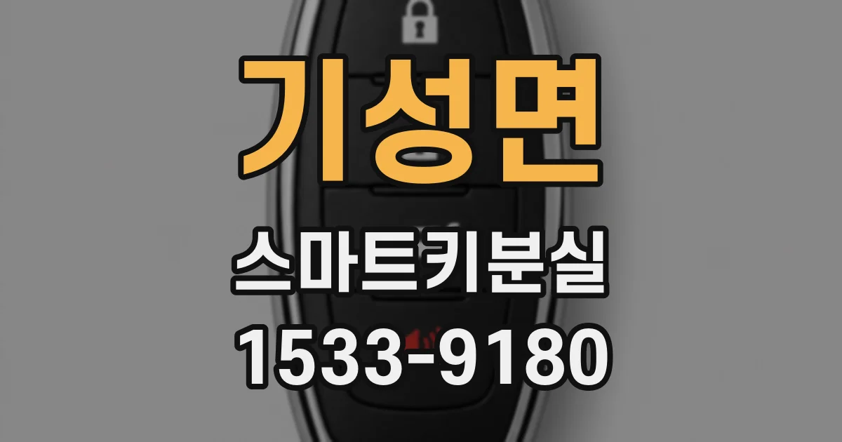 기성면 스마트키분실