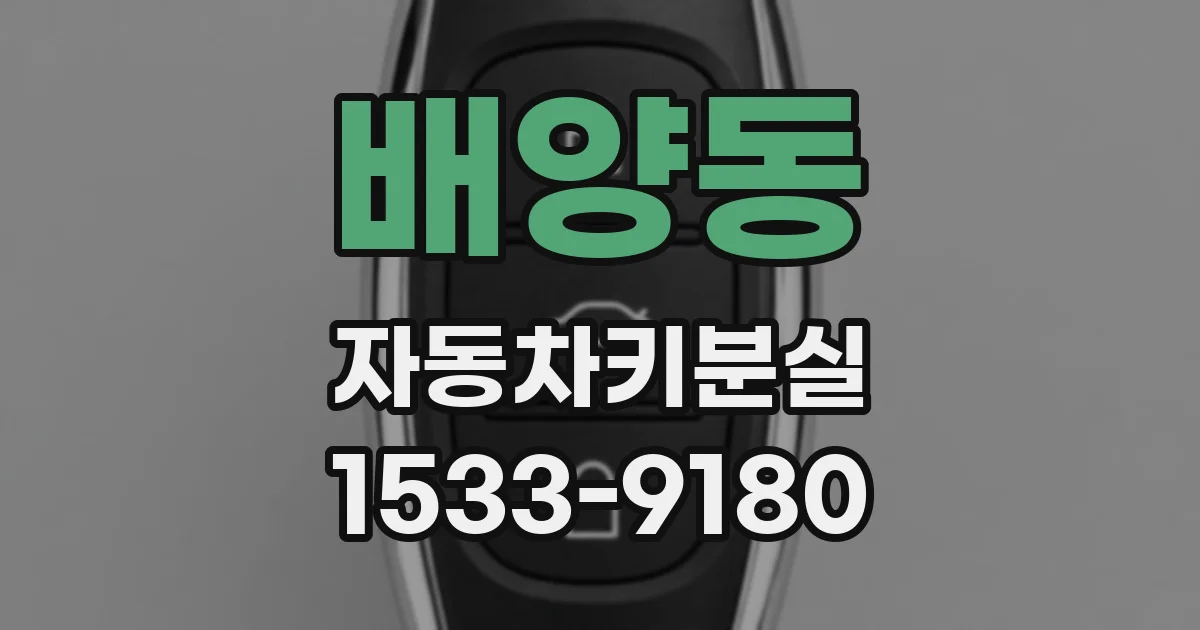 배양동 자동차키분실