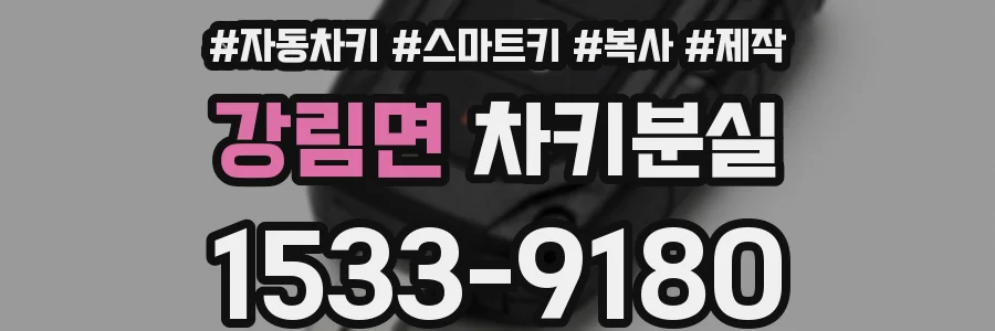 강림면 차키분실