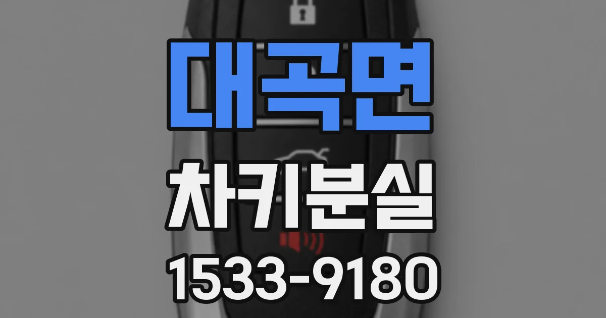 대곡면 차키분실