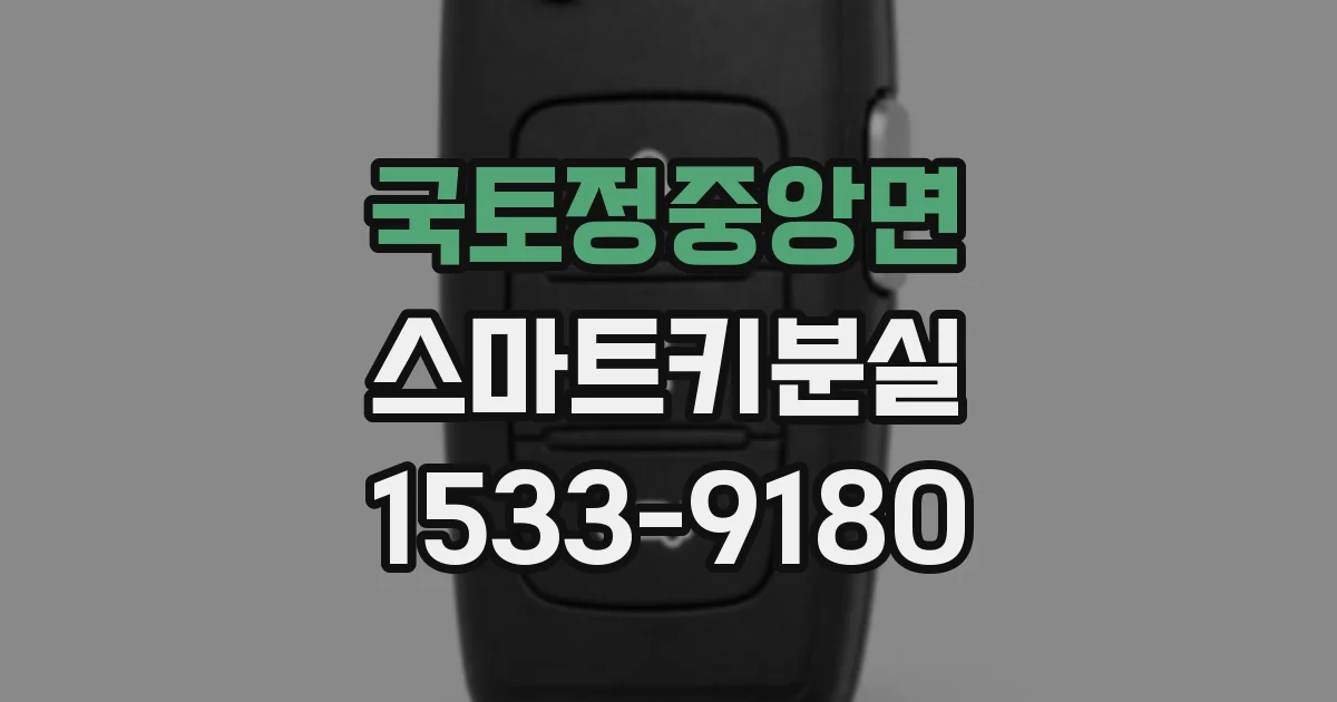 국토정중앙면 스마트키분실