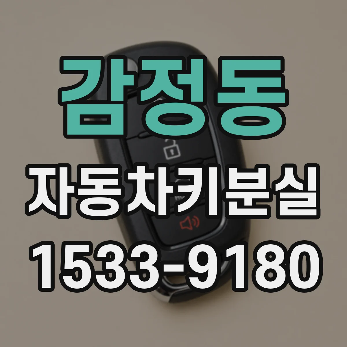 감정동 자동차키분실