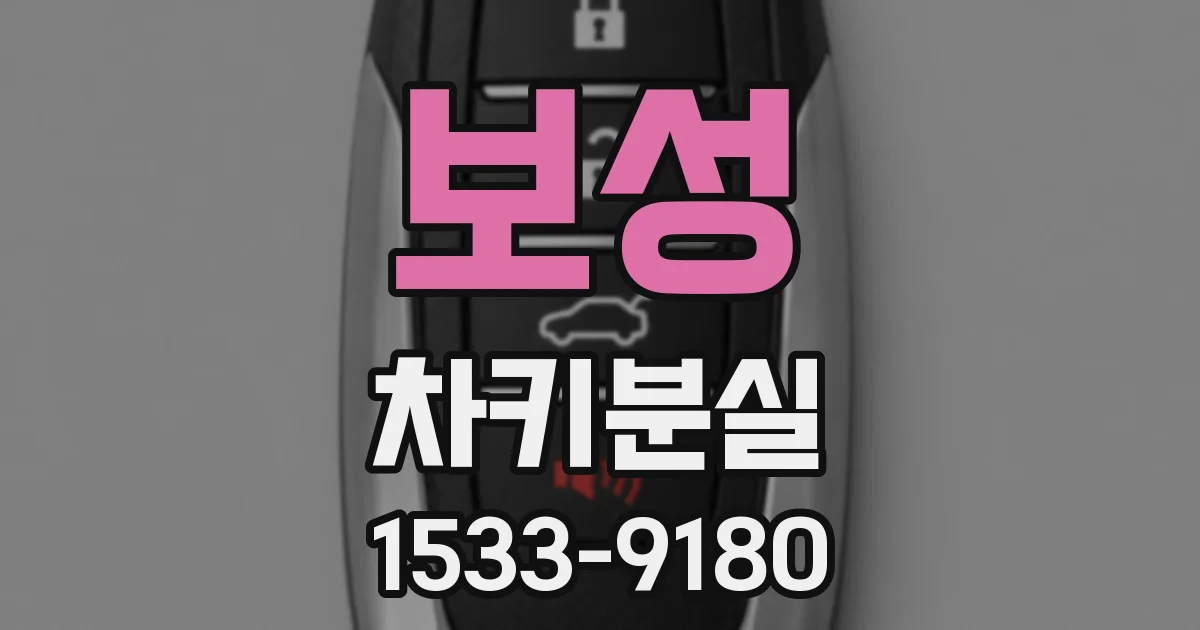 보성 차키분실