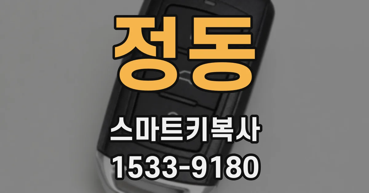정동 스마트키복사