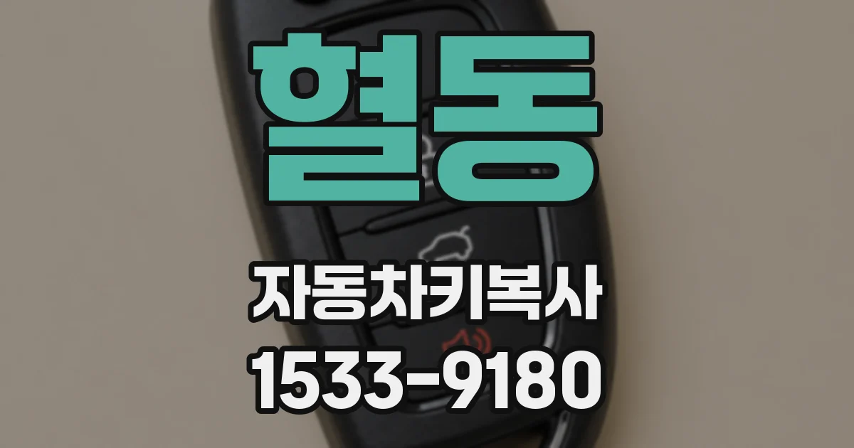 혈동 자동차키복사