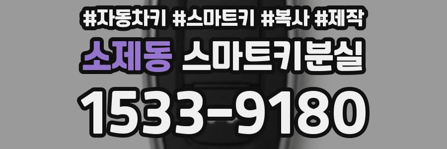 소제동 스마트키분실