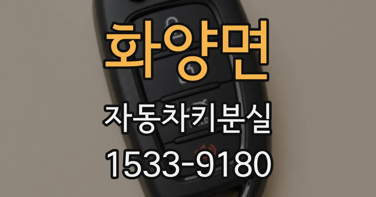화양면 자동차키분실