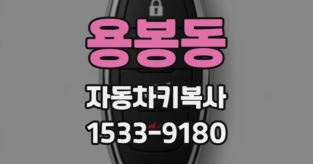 용봉동 자동차키복사