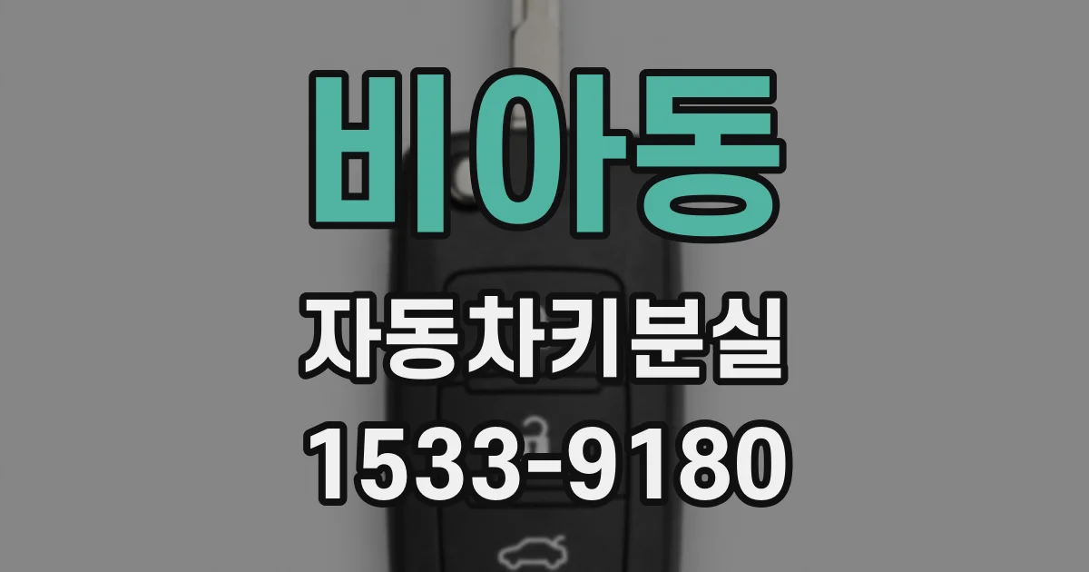 비아동 자동차키분실
