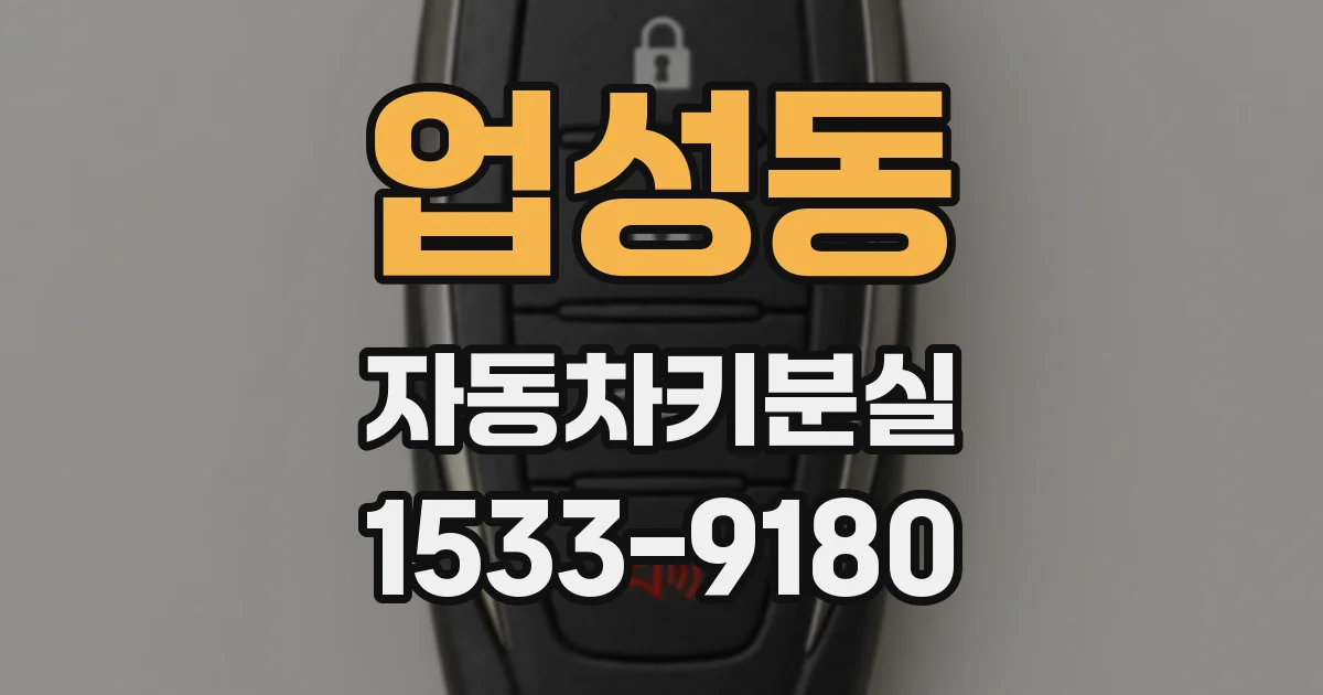 업성동 자동차키분실