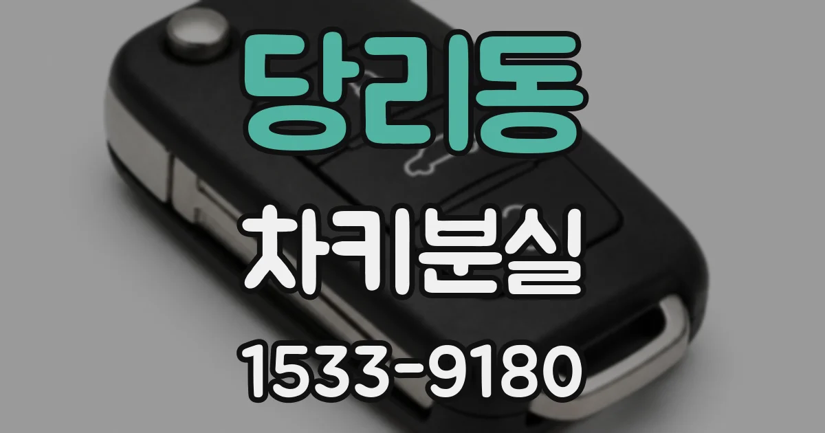 당리동 차키분실