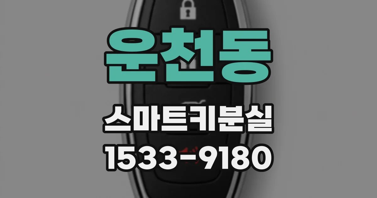 운천동 스마트키분실