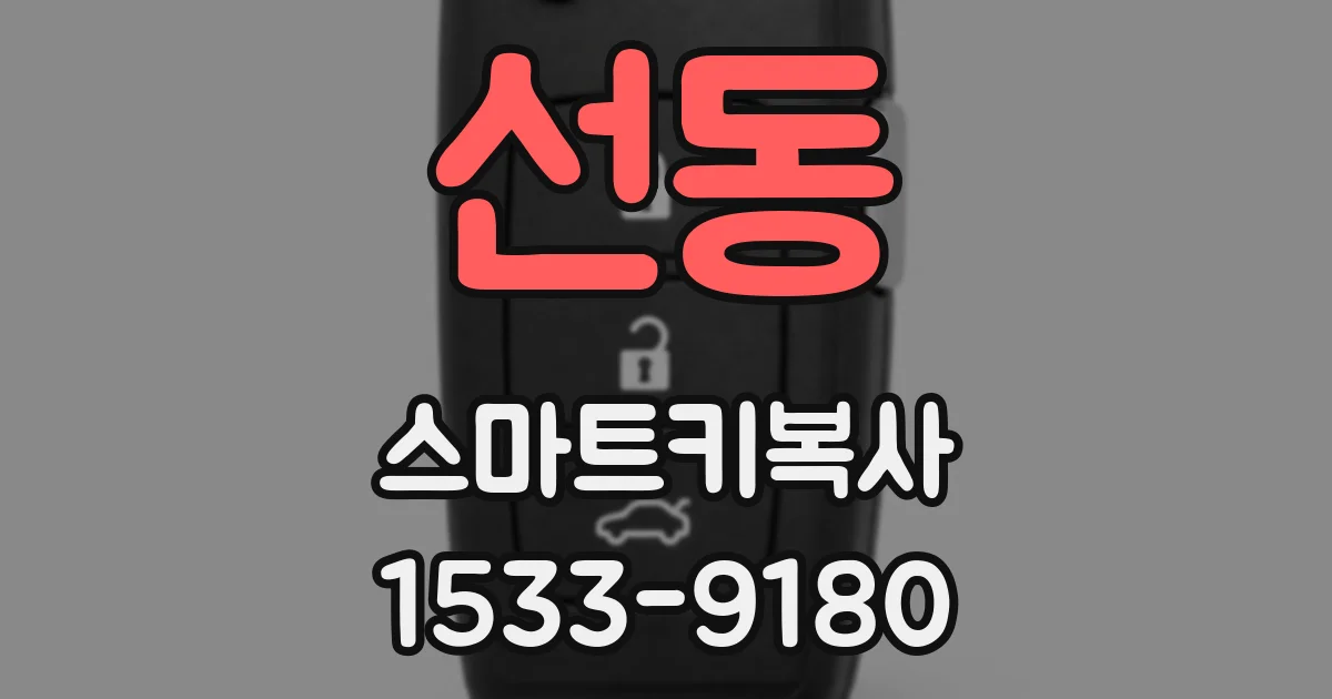 선동 스마트키복사
