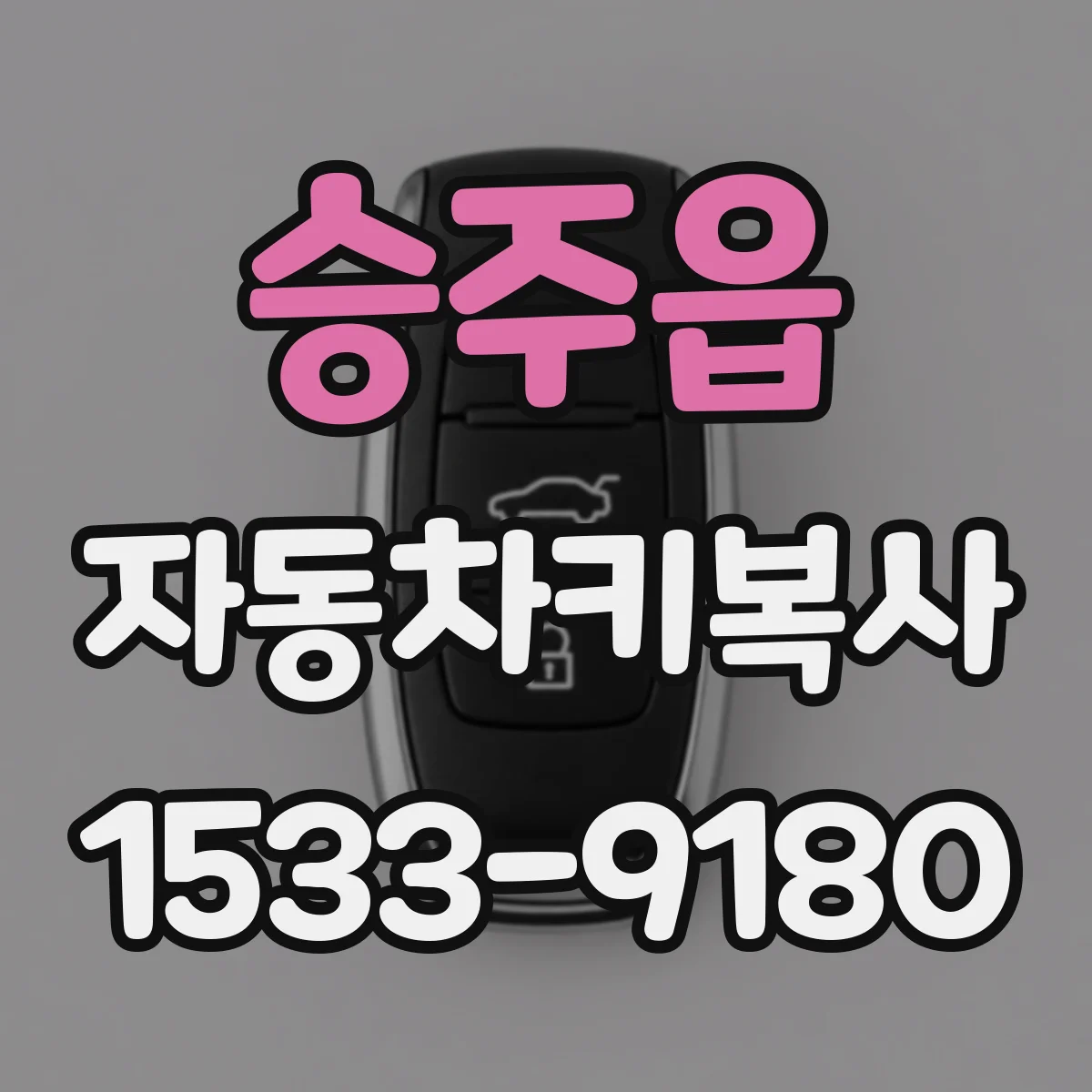 승주읍 자동차키복사 리모컨 복사 호환성에 필요한 차량 정보