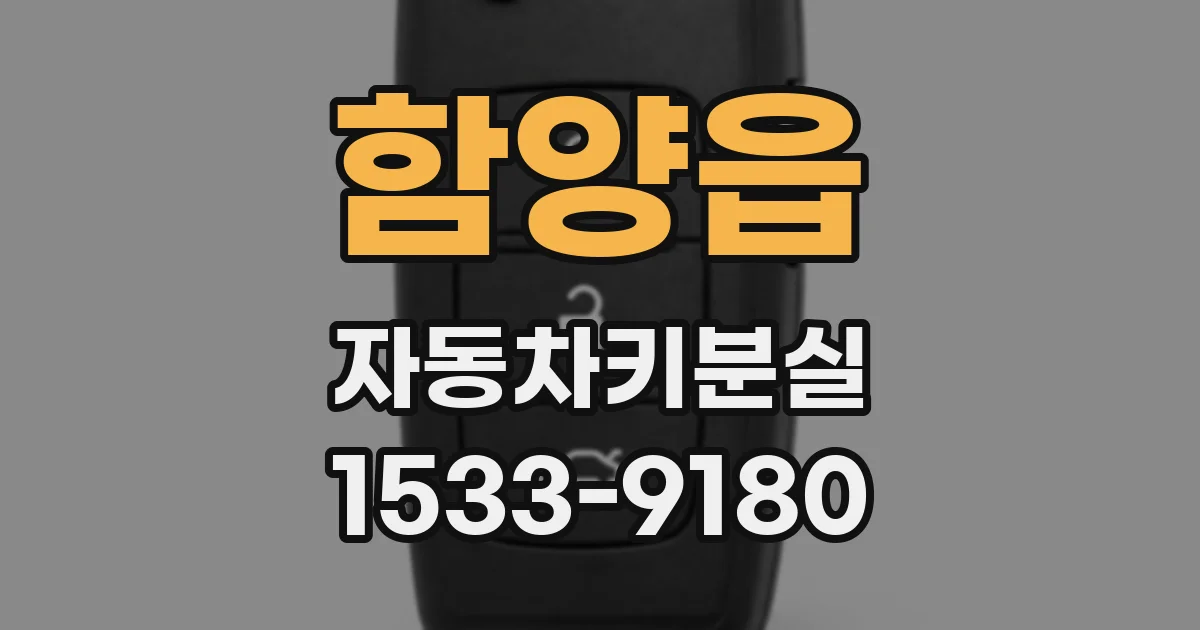 함양읍 자동차키분실