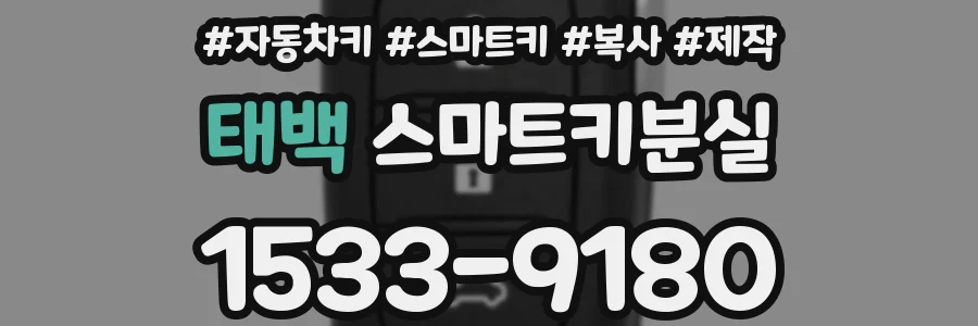 태백 스마트키분실