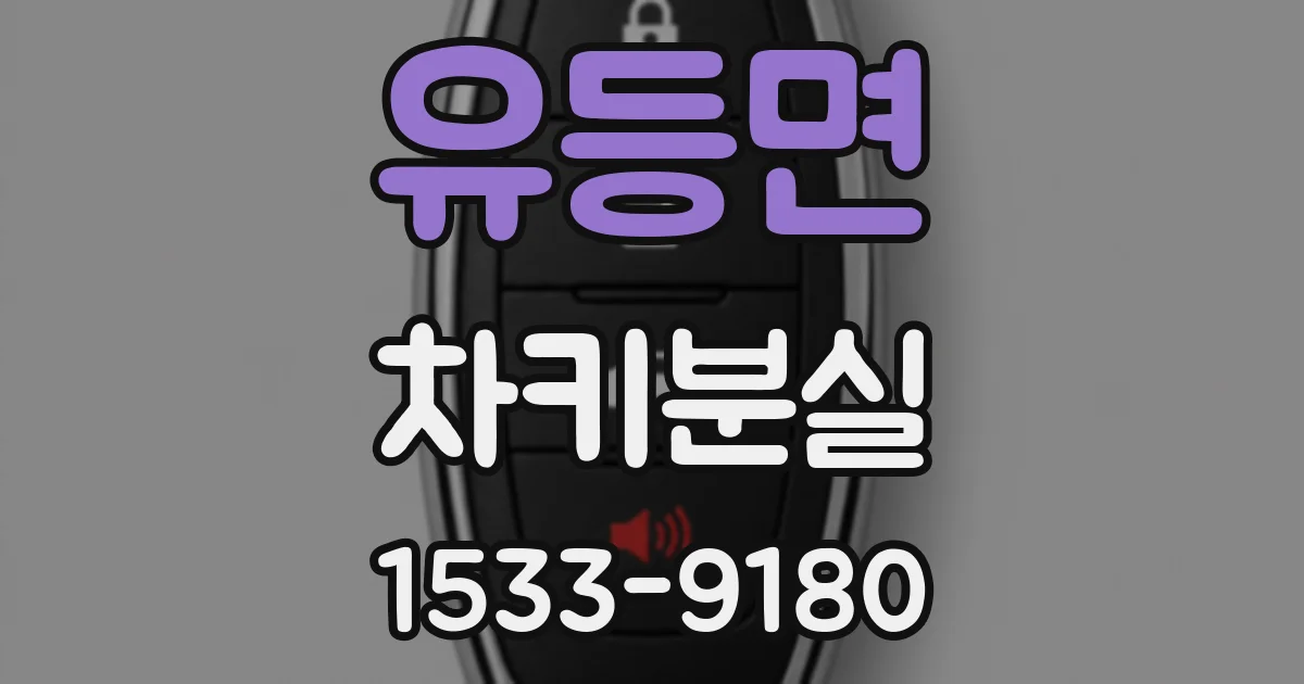 유등면 차키분실