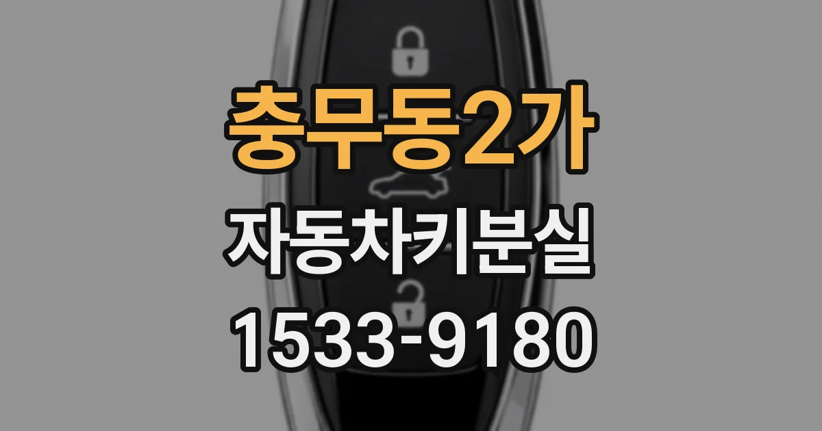 충무동2가 자동차키분실