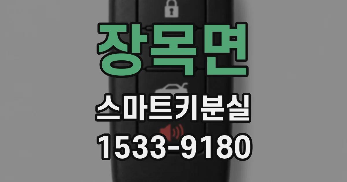 장목면 스마트키분실