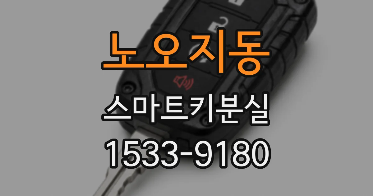 노오지동 스마트키분실
