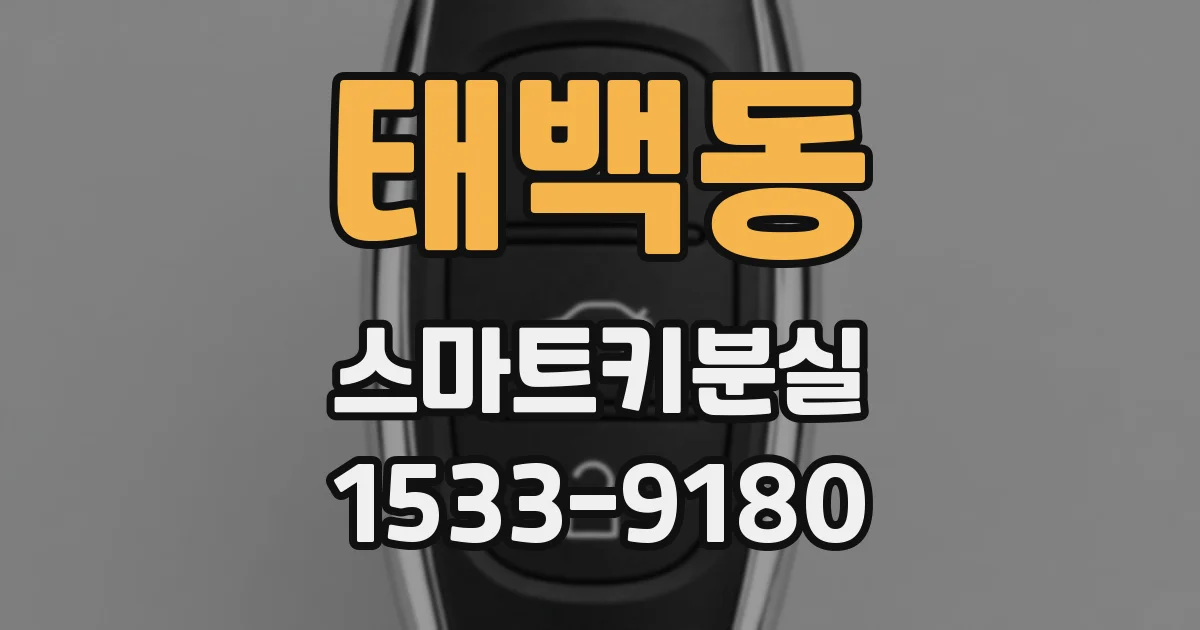 태백동 스마트키분실