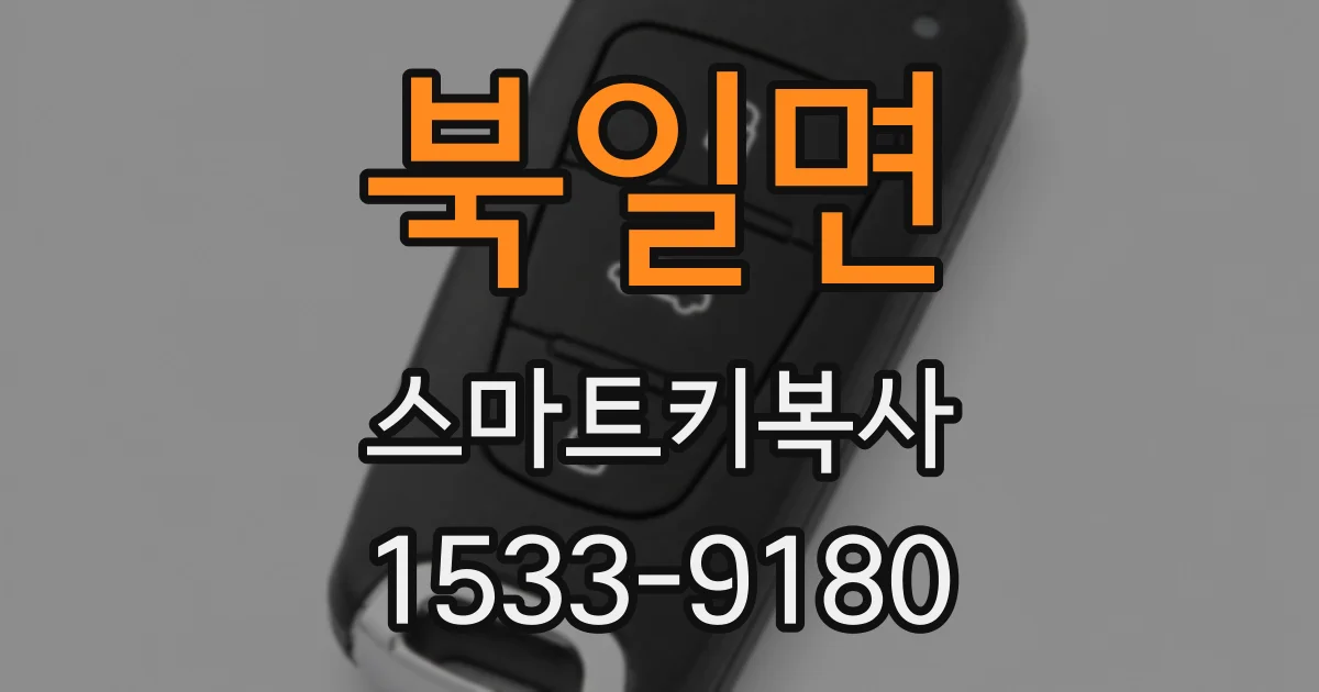 북일면 스마트키복사