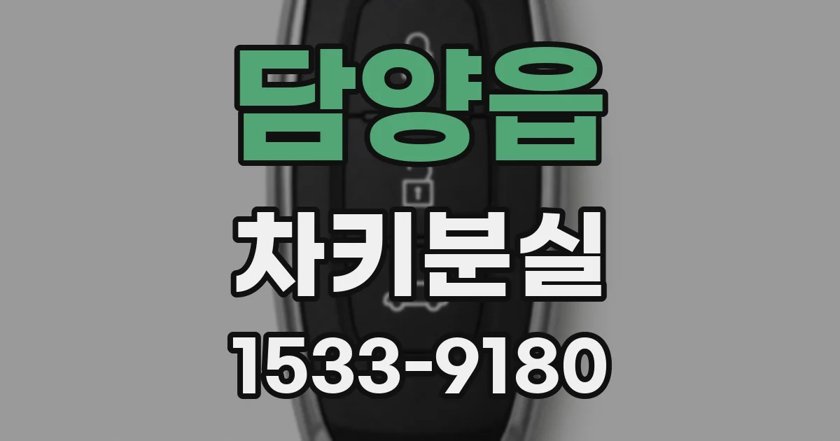 담양읍 차키분실