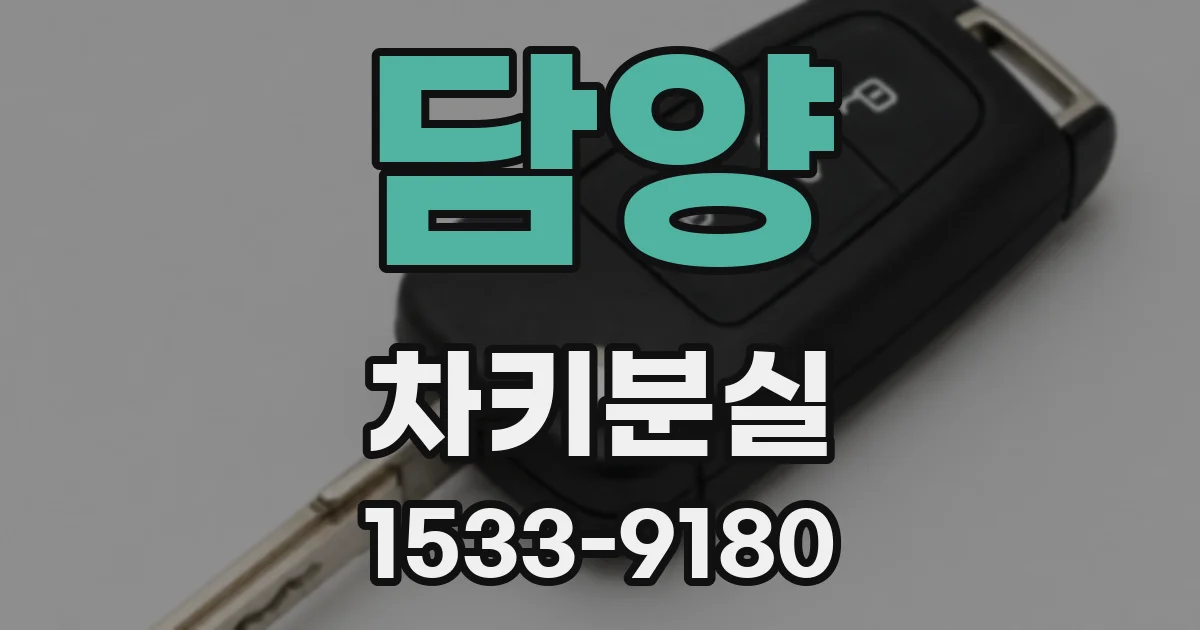 담양 차키분실